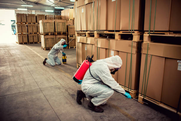 Best Cockroach Control Services  in Vander, NC