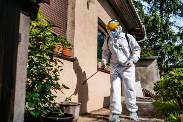 Best Residential Pest Control  in Vander, NC