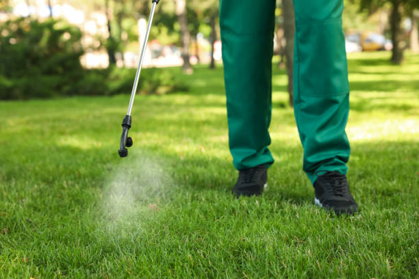 Best Bed Bug Extermination  in Vander, NC