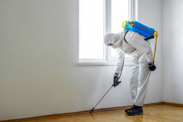 Best Cockroach Control Services  in Vander, NC