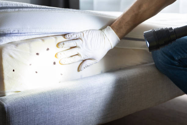 Best Pest Control Near Me in Vander, NC