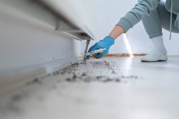 Reliable Vander, NC Pest Control Solutions
